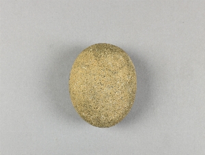 29-95-137