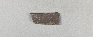 8173