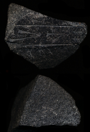 CBS9273