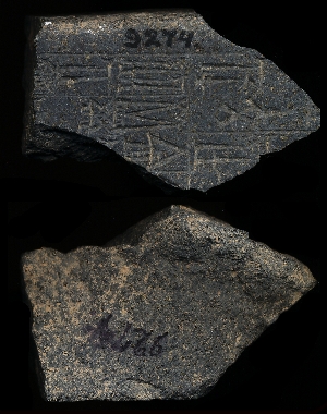 CBS9274