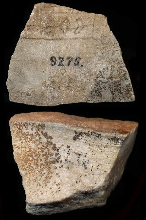CBS9275