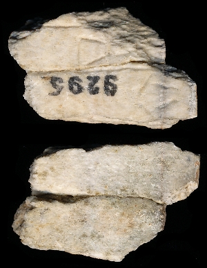 CBS9295