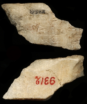 CBS9312
