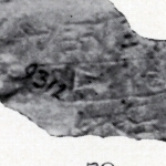 797733