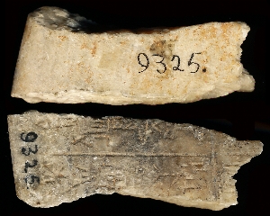 CBS9325