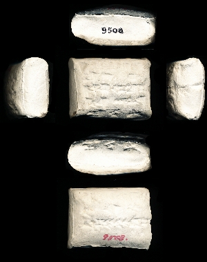 CBS9508