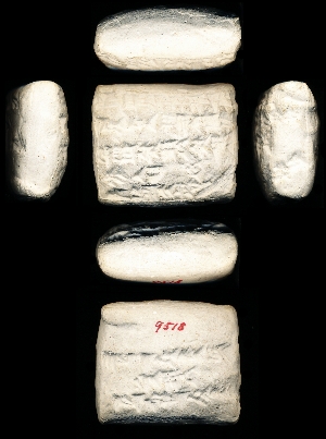 CBS9518