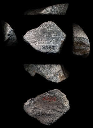 CBS9567