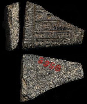 CBS9568