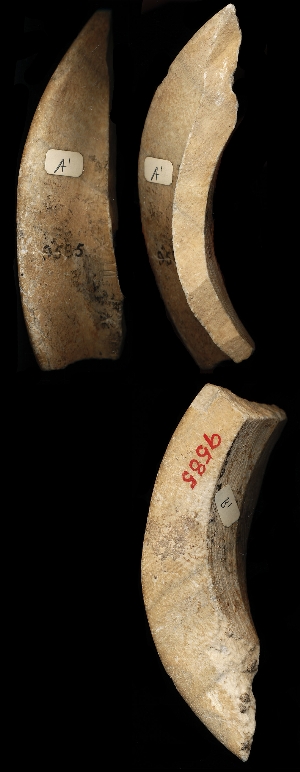 CBS9585
