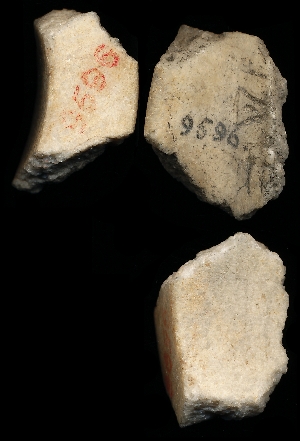 CBS9596