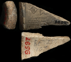 CBS9597