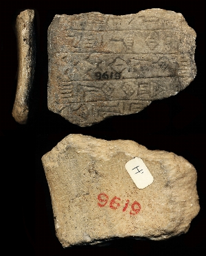 CBS9619