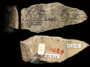 CBS9624