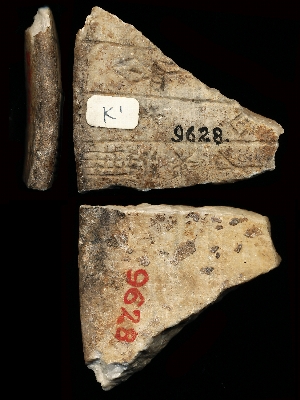 CBS9628