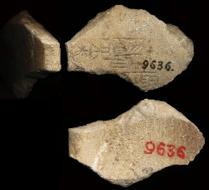 CBS9636