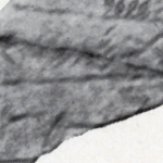 797823