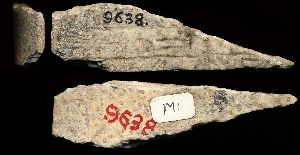 CBS9638
