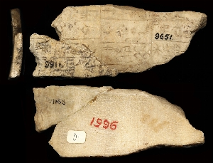 CBS9651