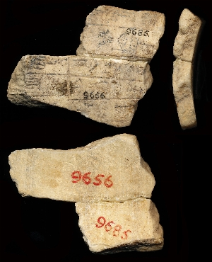 CBS9656