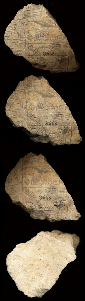 CBS9663