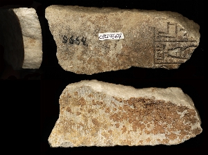 CBS9664