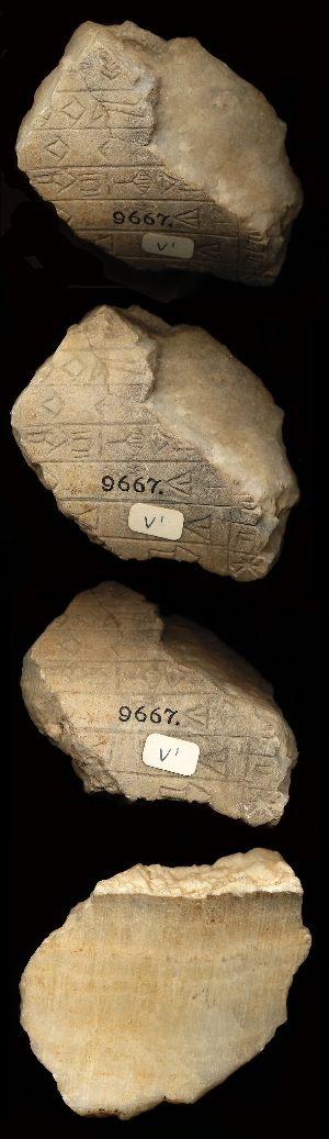 CBS9667