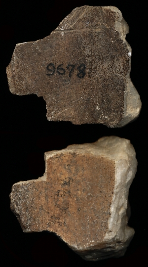 CBS9678