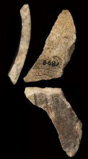 CBS9681