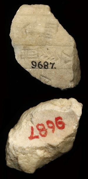 CBS9687