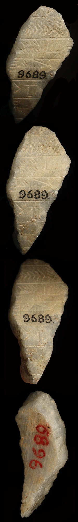 CBS9689