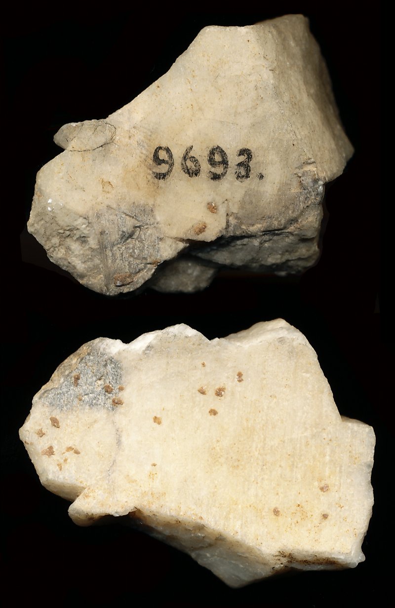 798602