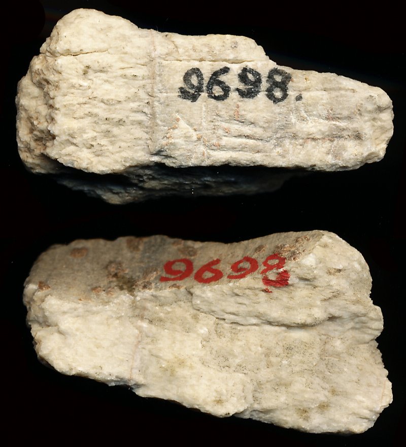 798607