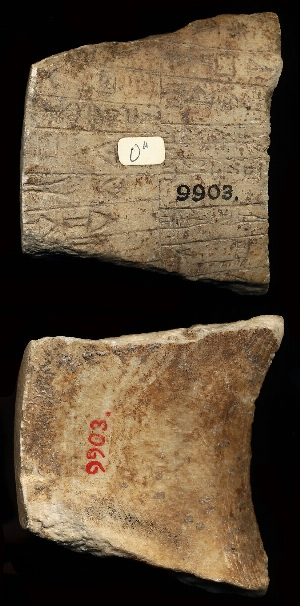 CBS9903