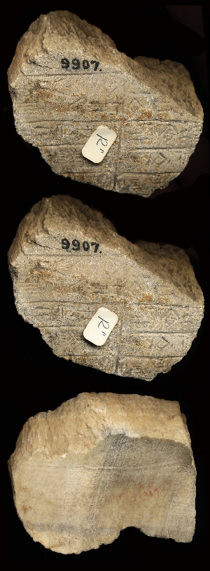 CBS9907