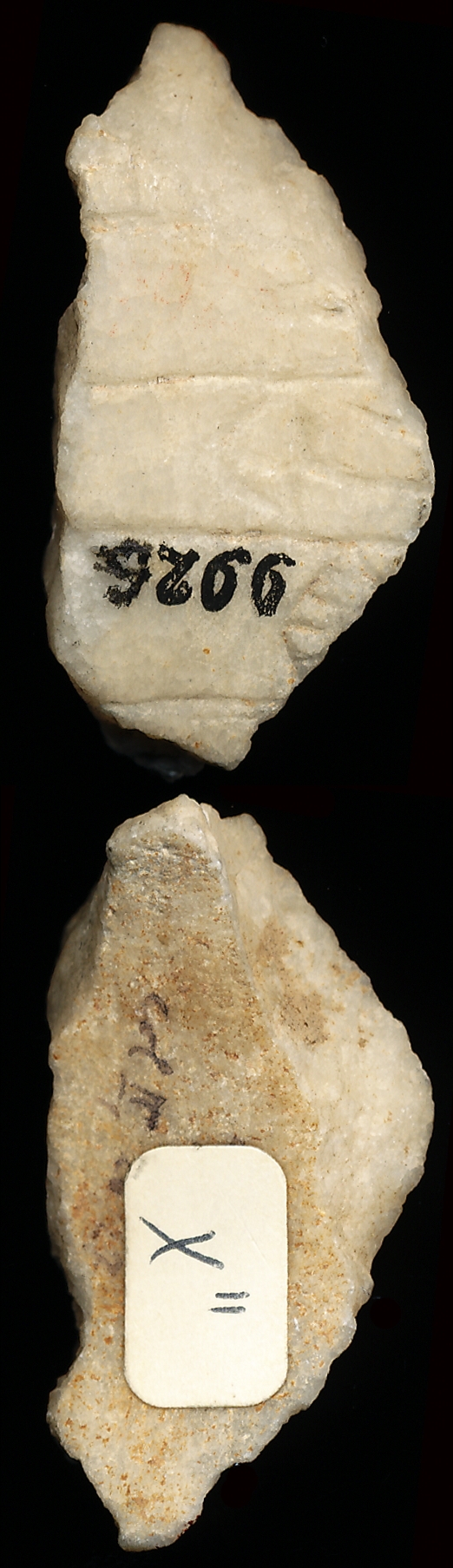 798706