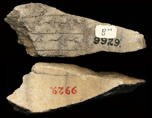 CBS9929