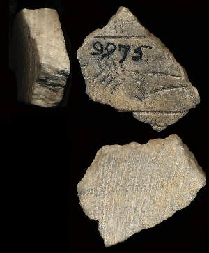 CBS9975
