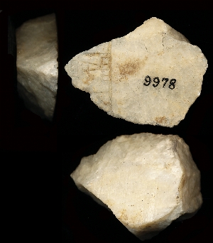 CBS9978
