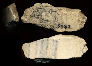 CBS9982