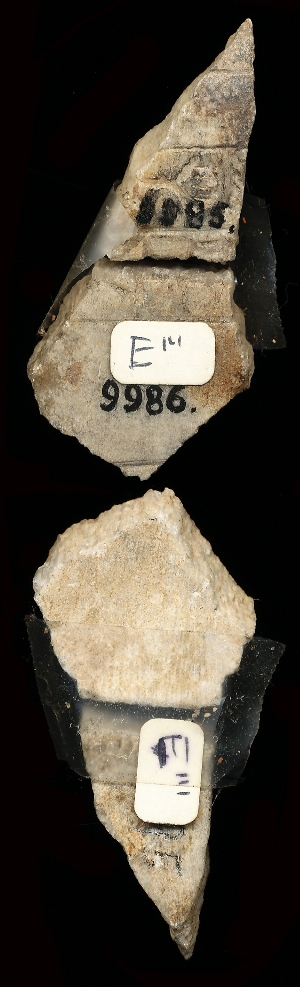 CBS9985