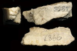 CBS9987