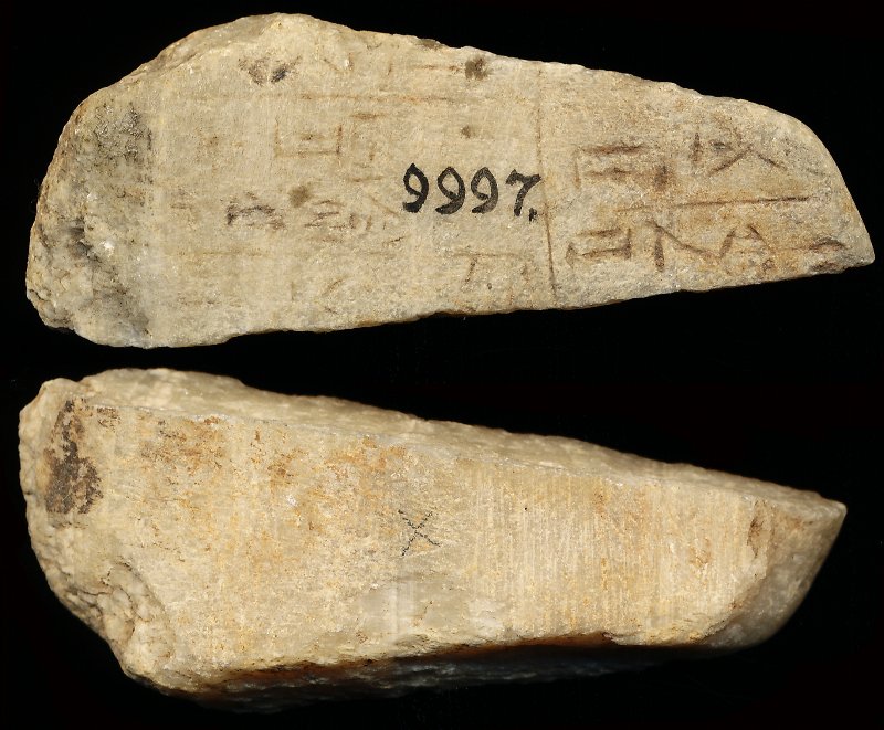 798741