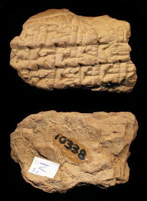 CBS10338