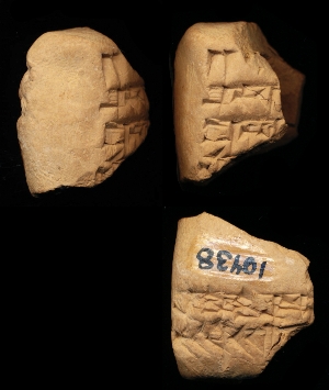 CBS10438