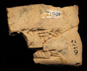 CBS10612