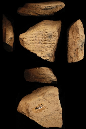 CBS10662