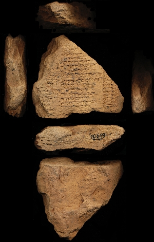 CBS10669