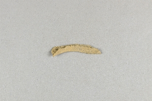 29-134-182.25