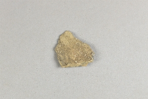 29-134-206.5